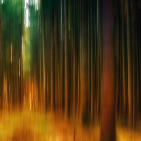 The Space of Variations – Where Your Perfect Life Already Exists